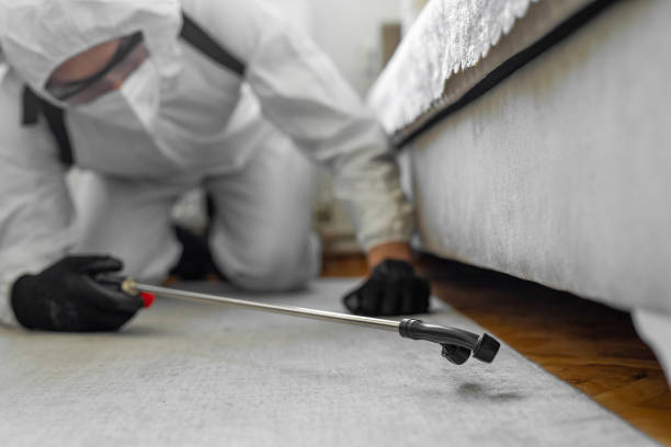 Professional Cockroach Control technician working in Fowler, CO
